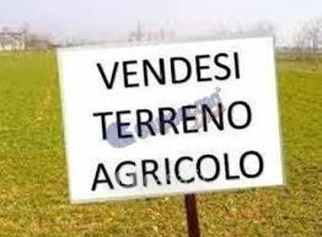 Terreno agricolo in commerciale in Via dei Frassini