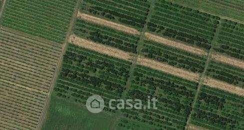 Terreno agricolo in commerciale in 