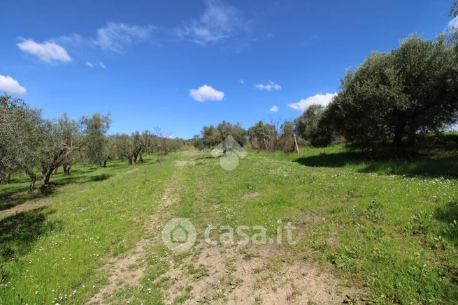 Terreno agricolo in commerciale in Via XII Apostoli 13