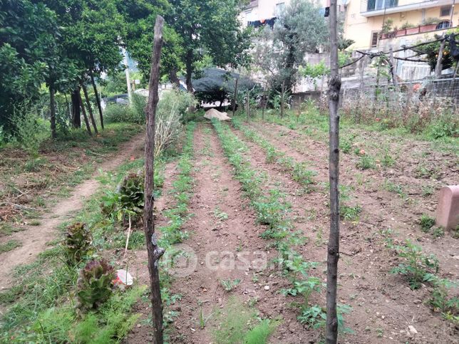 Terreno agricolo in commerciale in Via Maddalena