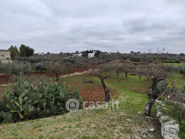 Terreno agricolo in commerciale in Contrada Pagliericci