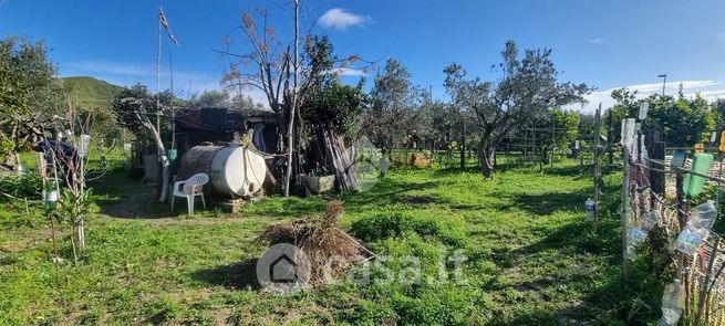 Terreno agricolo in commerciale in Via Fausto Gullo