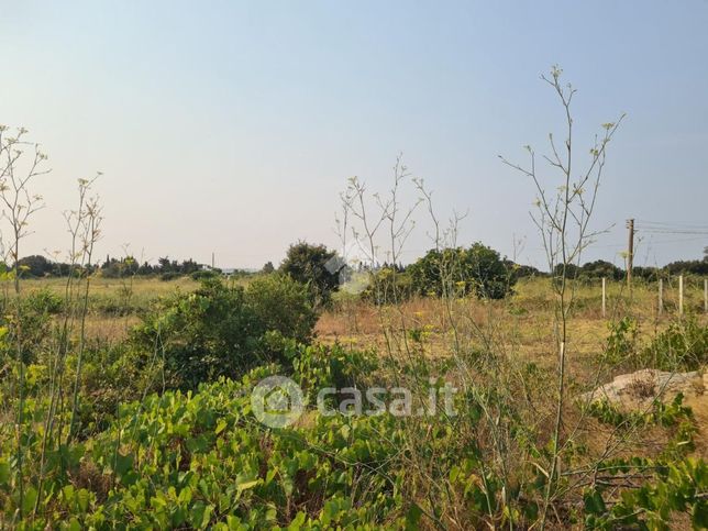 Terreno agricolo in commerciale in 