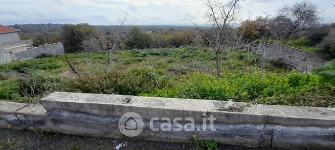 Terreno agricolo in commerciale in Strada Provinciale 120