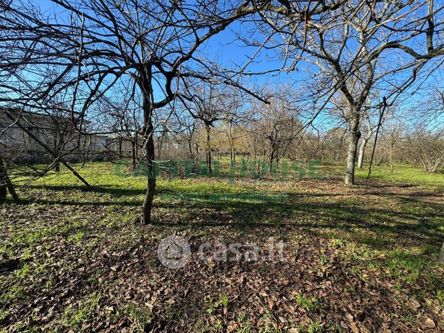 Terreno agricolo in commerciale in Corso Italia