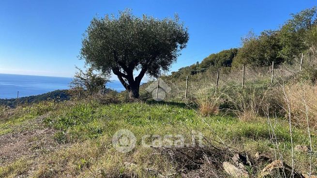 Terreno agricolo in commerciale in 