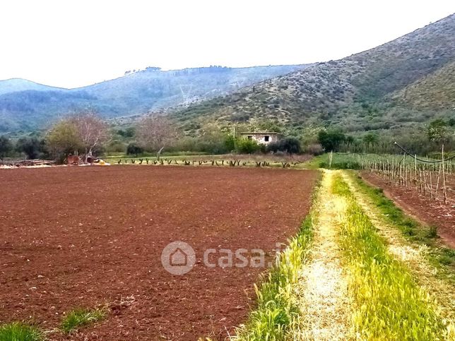 Terreno agricolo in commerciale in Strada Provinciale Falciano-Mondragone