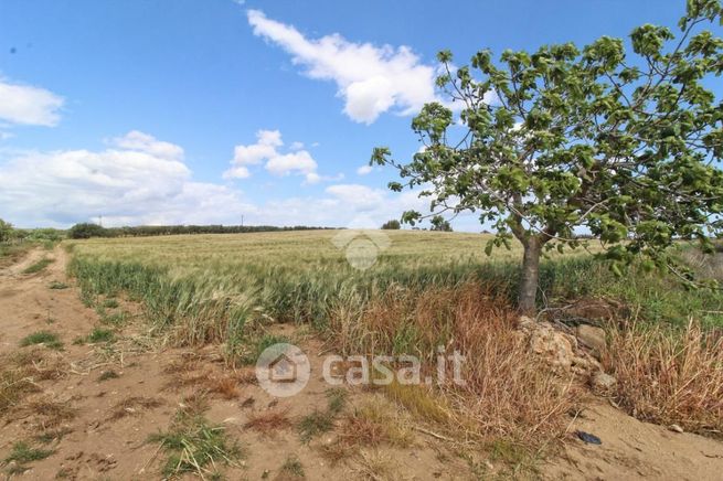 Terreno agricolo in commerciale in Contrada Anastasi