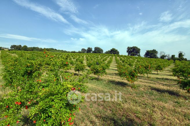 Terreno agricolo in commerciale in Strada del Giardino, 188