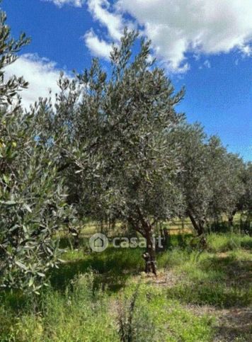 Terreno agricolo in commerciale in Via Bresciana