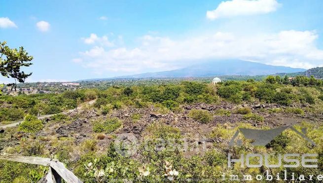 Terreno agricolo in commerciale in 