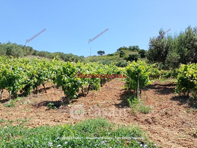 Terreno agricolo in commerciale in Via Madonna del Riposo 94
