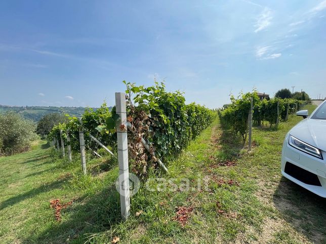 Terreno agricolo in commerciale in Strada San Giorgio 55