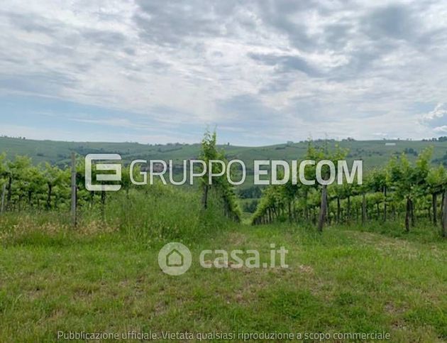 Terreno agricolo in commerciale in Strada Provinciale 201