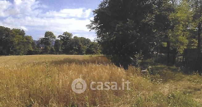 Terreno edificabile in residenziale in Strada Consorziale dei Pascoli 38