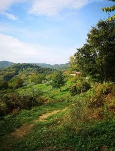 Terreno agricolo in commerciale in Via del Lavoro