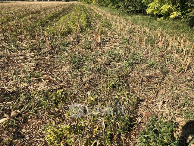 Terreno agricolo in commerciale in Via Montebelluna