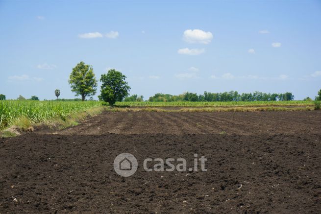 Terreno agricolo in commerciale in 