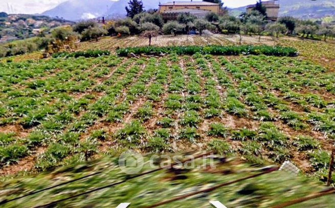Terreno agricolo in commerciale in Comunale Torre Amalfitano