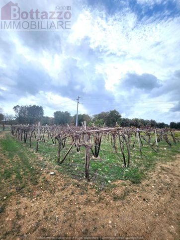 Terreno agricolo in commerciale in san gennaro