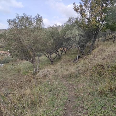 Terreno agricolo in commerciale in Via Castagne
