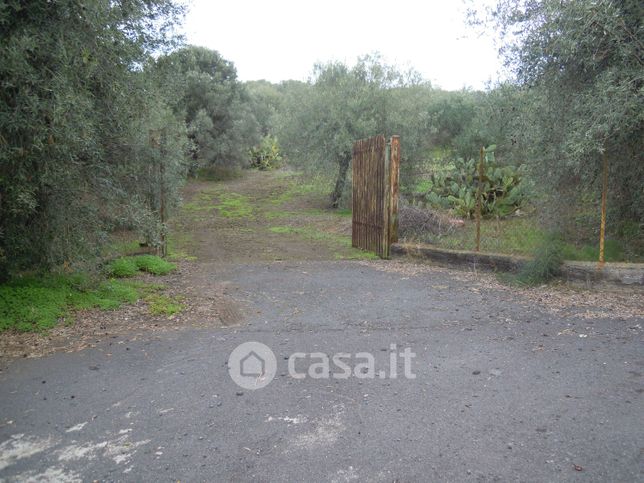 Terreno agricolo in commerciale in Strada Comunale Mulini