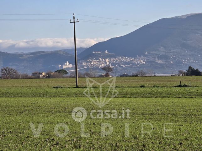 Terreno agricolo in commerciale in Via Passerella 68