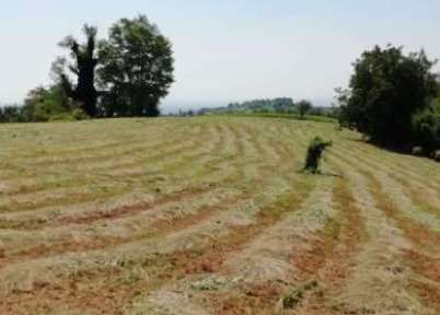 Terreno agricolo in commerciale in Via Poletti