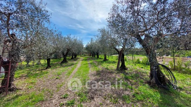 Terreno agricolo in commerciale in Località Grataglie