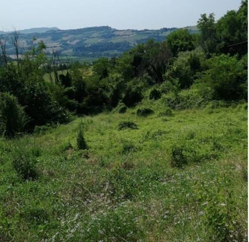 Terreno edificabile in residenziale in Contrada Liberata 17