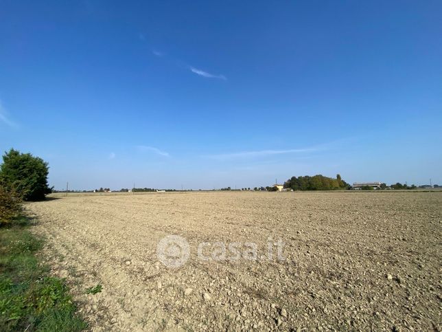 Terreno agricolo in commerciale in Via Correggiolo Colombarina