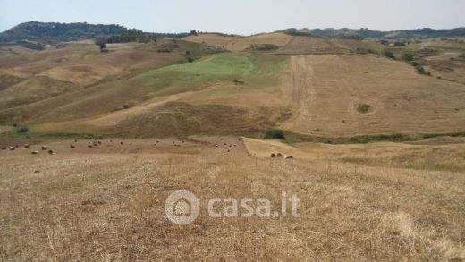 Terreno edificabile in residenziale in Strada Comunale 195 Grottacalda Valguarnera