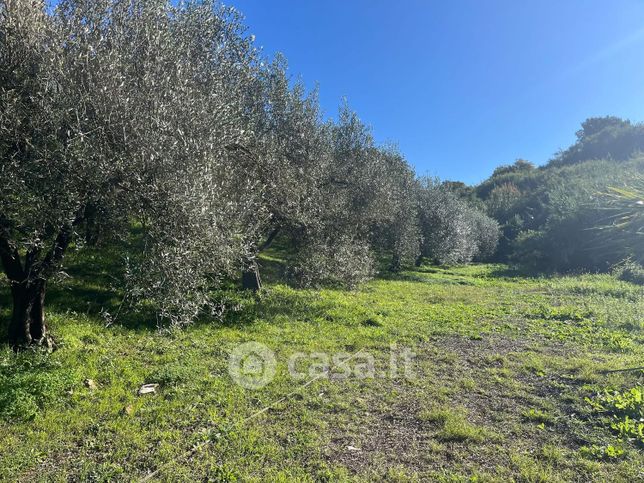 Terreno agricolo in commerciale in Strada della Ficoncella