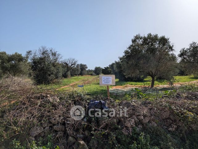 Terreno agricolo in commerciale in Via Cepulli