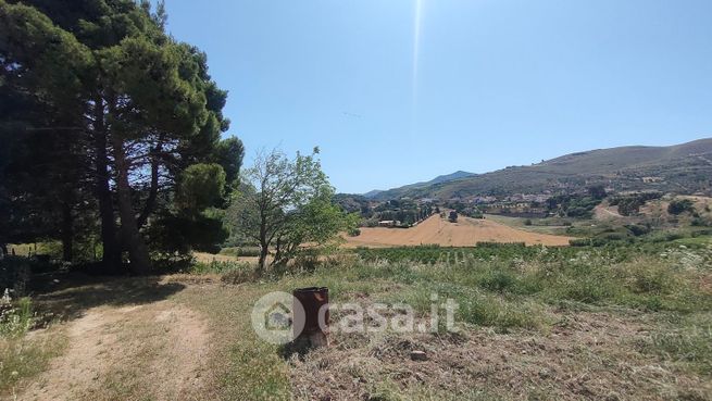 Terreno agricolo in commerciale in Contrada Balata di Baida