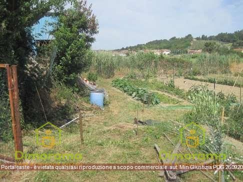 Terreno agricolo in commerciale in Via Tombaccia