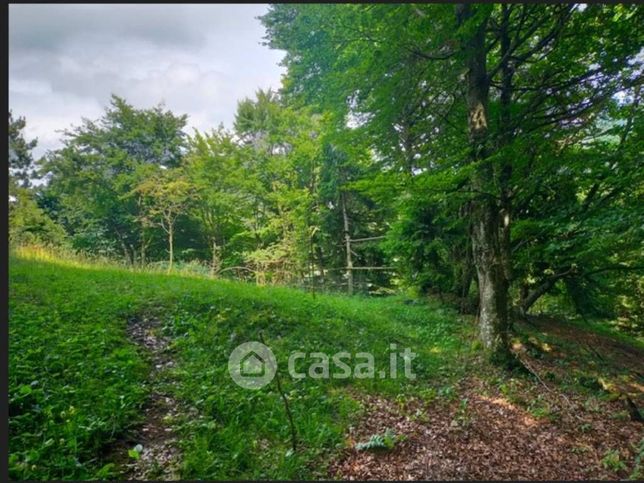 Terreno edificabile in residenziale in Strada Provinciale 57