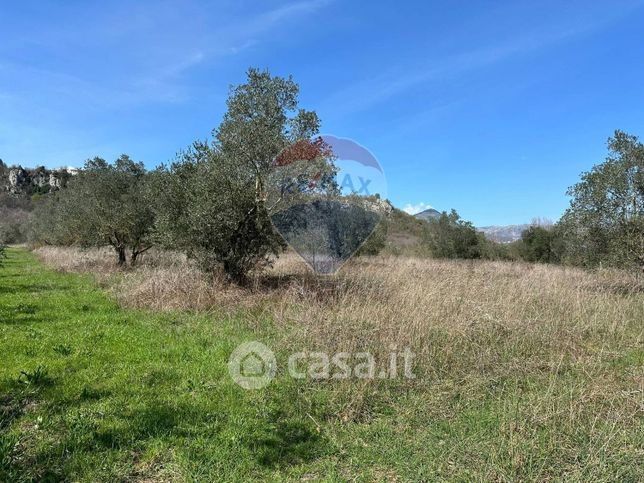 Terreno agricolo in commerciale in Via Buia