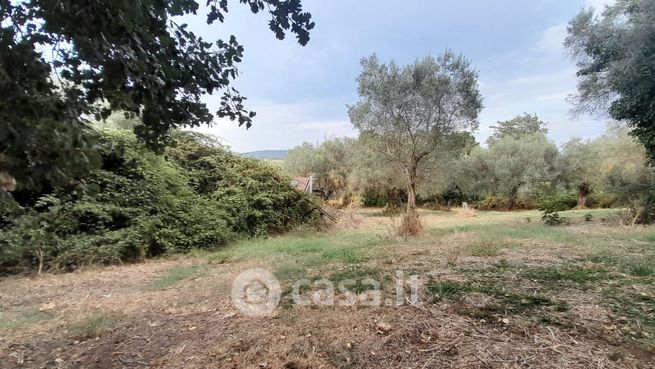 Terreno agricolo in commerciale in Via Contea Riti