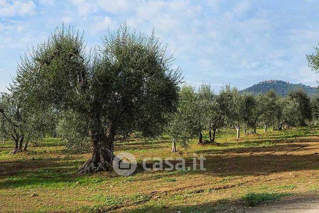 Terreno agricolo in commerciale in Via Parafolio