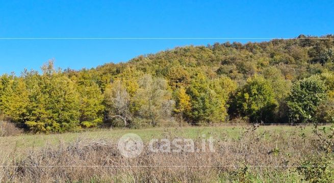 Terreno agricolo in commerciale in Strada Statale 62