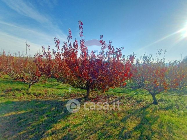 Terreno agricolo in commerciale in Via Monticelli 2378