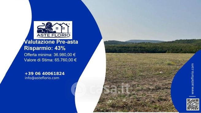 Terreno agricolo in commerciale in SS117bis