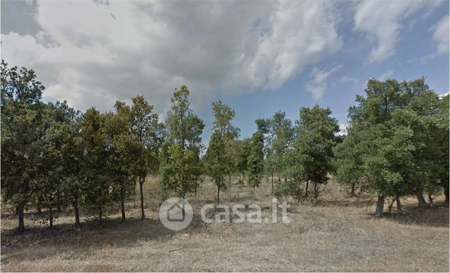 Terreno agricolo in commerciale in Strada dei Canadesi