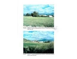 Terreno agricolo in commerciale in Via San Maria di Settimo