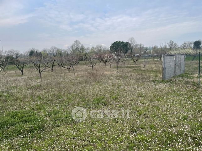 Terreno agricolo in commerciale in 