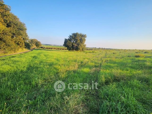 Terreno agricolo in commerciale in Via Casale del Ferraccio