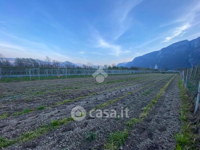 Terreno agricolo in commerciale in Destra Adige