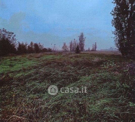 Terreno agricolo in commerciale in Via Penavara