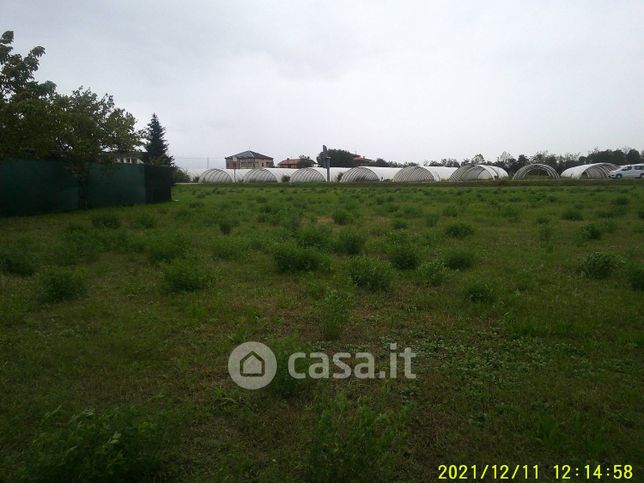 Terreno agricolo in commerciale in 